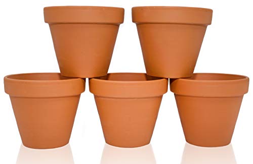 B2S BACK2SEASON Tontöpfe 5 Stück mit Loch Blumentopf D=9 cm Made in Germany Terrakotta 5er Set von B2S BACK2SEASON