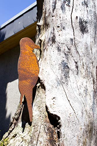 Metall Specht mit Baumspieß edel Edelrost Herbst-Deko H=22 cm von B2S BACK2SEASON