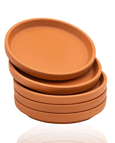 Untersetzer aus Ton Pflanzenteller Terra imprägniert D= 10,8 cm 5er Set von B2S BACK2SEASON