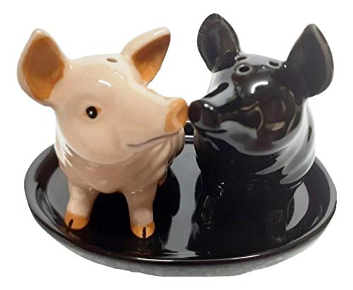 Schweine Salz und Pfeffer-streuer Set Keramik Tiere Schweine Geschenk 3 teilig von B2SEE LTD