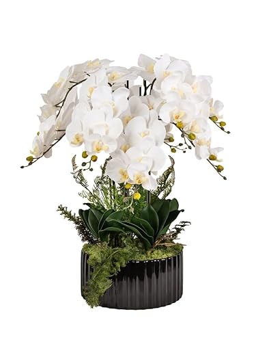 B4y Home dESING Künstliche Orchideen wie echt im Keramik Topf | 8 Zweige weiße Blüten echte Rentierflechte | Blumenarrangement Gesteck Luxusobjekt XL 55cm Gesamthöhe (schwarz) von B4y Home dESING