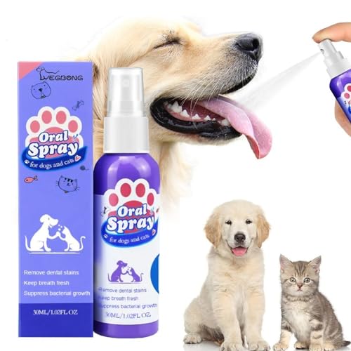 Hund Mundpflege Spray Haustier Zahnreinigung Spray für Hunde & Katzen, Haustier Zahnreiniger, Haustier Zahnpflege, Haustier Mundgeruch Entfernung, Haustier Atem Erfrischer, Spray Pflege Reiniger, Pet von BAAQII