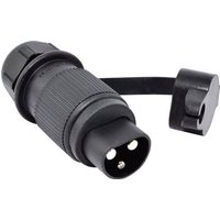 BAAS Startsystem BS20 Stecker von BAAS
