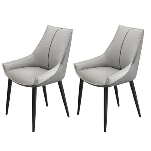 2er Set Moderne Esszimmerstühle, Verdickt Polsterstuhl Esszimmerstuhl, Esszimmerstuhl mit Ergonomischem Design, für Wohnzimmer, Restaurant (Silver) von BABKNMNFZT
