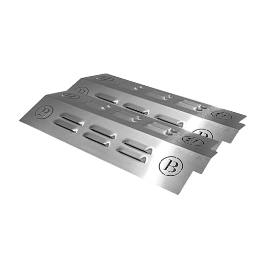 BABOSSA® Flammschutz aus massivem Edelstahl - Ersatzteil für Burnhard Earl | rostfrei & titanstabilisiert durch V4A Edelstahl | Made in Germany | 2er Pack von BABOSSA