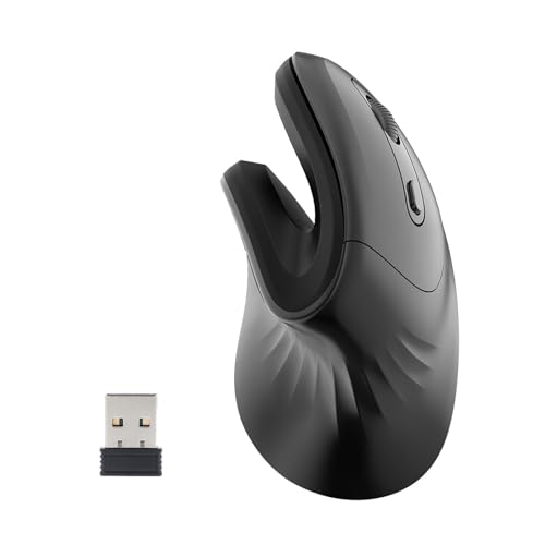 BABYVIVA Vertikale Maus, wiederaufladbare Computermaus, gesunde USB-Maus für den Schreibtisch von BABYVIVA