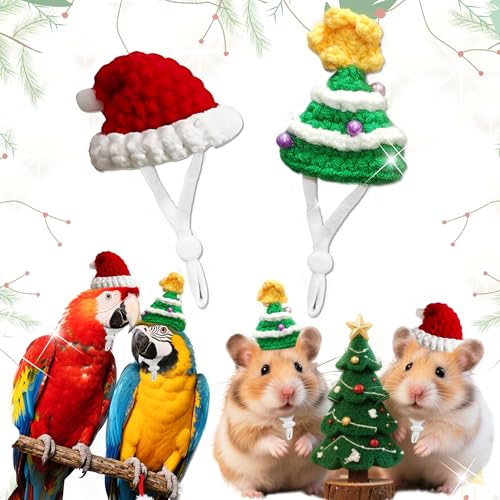 BACH AND BOUJEE Weihnachtsmütze für Hamster, Papageien, Vögel, Huhn, Weihnachten, Haustier, Winter, Weihnachten, Festliche Party, Verkleiden für Haustiere BACH AND BOUJEE Weihnachtsmütze für Hamster, Papageien, Vögel, Huhn, Weihnachten, Haustier, Winter, Weihnachten, Festliche Party, Verkleiden für Haustiere von BACH AND BOUJEE