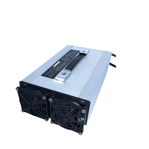BACYDLPL 12 V 100 A 24 V 60 A Ladegerät 14,6 V 100 A 12,6 V 25,2 V 29,2 V 60 A 29,4 V Ladegerät(8S 29.2V 60A) von BACYDLPL