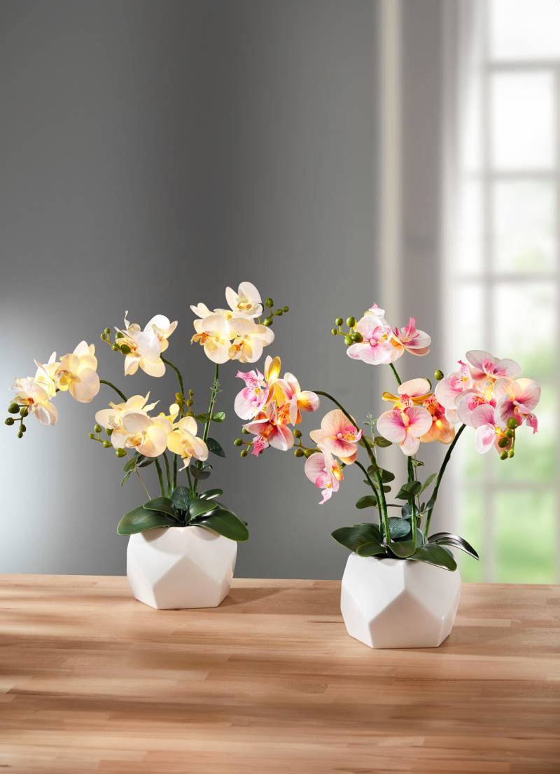 Beleuchtete Orchidee im Topf, Rosa von BADER