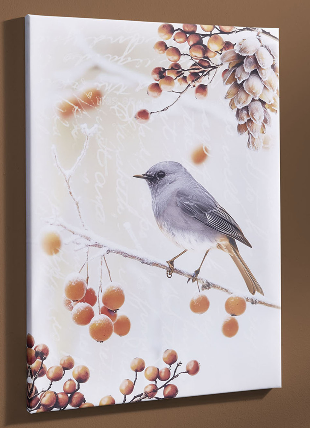 Bild Vogel des Jahres 2025 Hausrotschwanz auf Leinwand, Hausrotschwanz von der Seite, Maße B60xH80T1,8 cm, Bunt von BADER