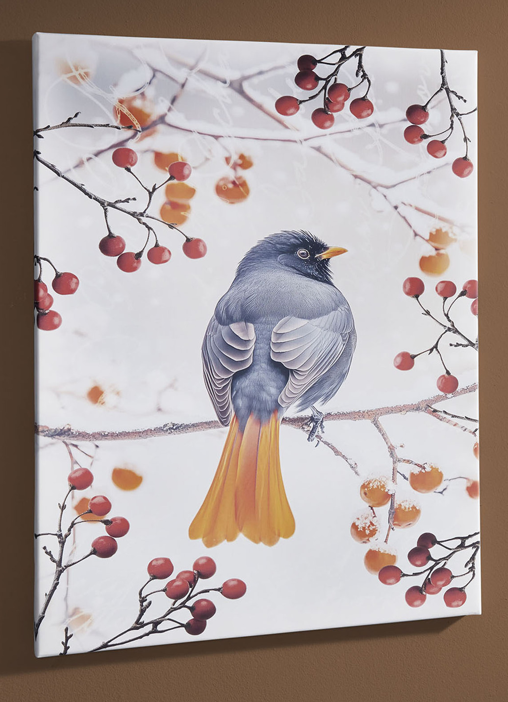 Bild Vogel des Jahres 2025 Hausrotschwanz auf Leinwand, Hausrotschwanz von hinten, Maße B45xH60T1,8 cm, Bunt von BADER