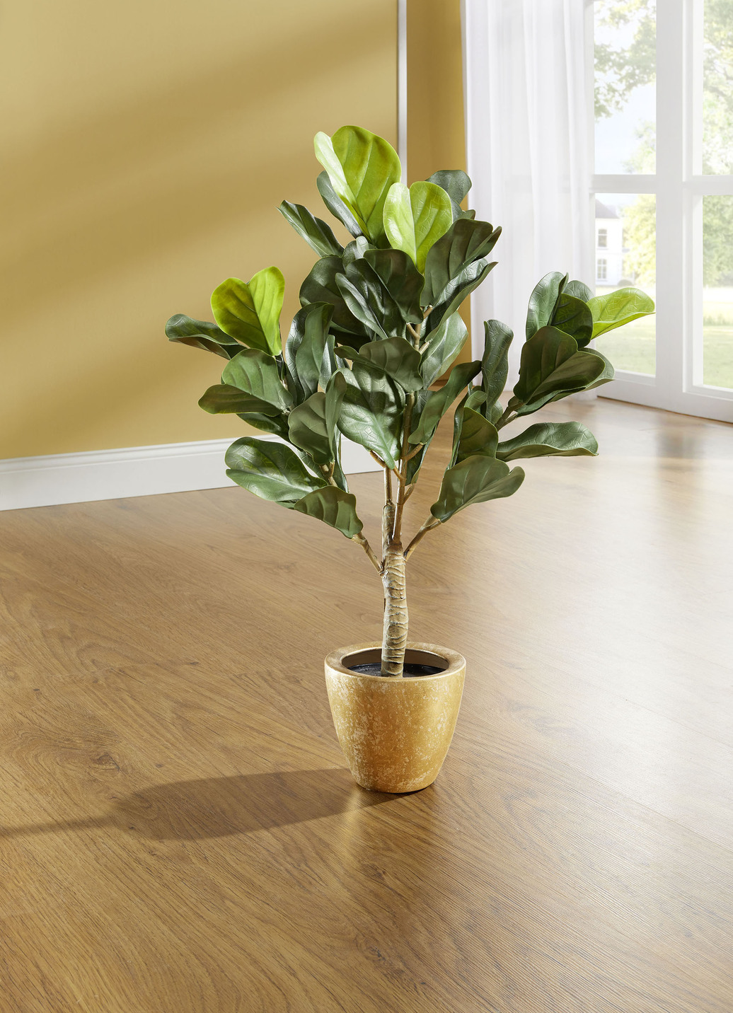 Feigenblattpflanze im Topf, Grün Feigenblattpflanze im Topf, Grün von BADER