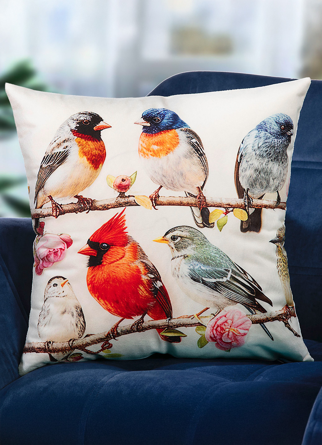 Kissenbezug in weicher Samtoptik, Bunt Kissenbezug in weicher Samtoptik, Bunt von BADER