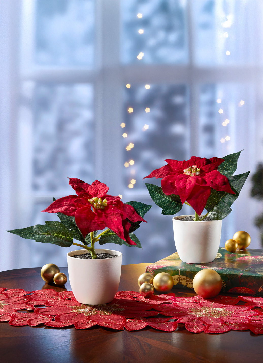 Mini-Poinsettia-Blüten im Topf, 2er-Set, Rot Mini-Poinsettia-Blüten im Topf, 2er-Set, Rot von BADER