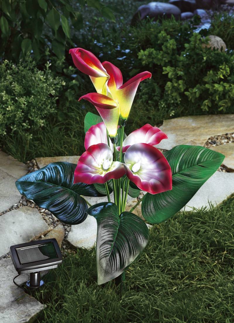 Solarleuchte Calla, Bunt von BADER