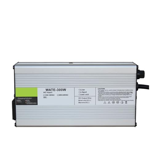 BADIKA Blei-Säure-Batterieladegerät 24V 10A Intelligentes Ladegerät mit Aluminiumgehäuse 24V Outdoor-Blei-Säure-Batterie Dreirad-Batterieladegerät(RCA,A.U) von BADIKA