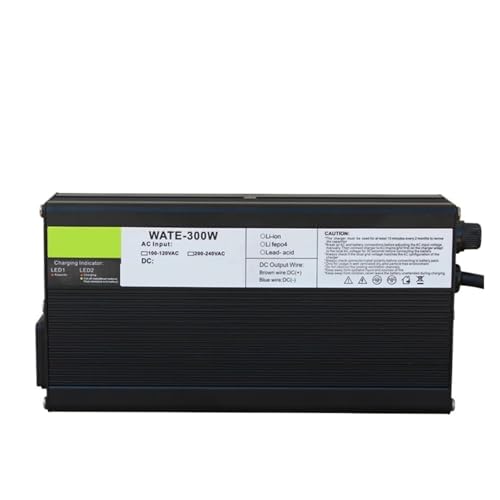 BADIKA Blei-Säure-Batterieladegerät 24V 10A Ladegerät Smarts Aluminiumgehäuse ist geeignet for 24V Outdoor Blei-Säure-Batterie Roboter sicher und stabil(Crocodile Clip,U.K) von BADIKA