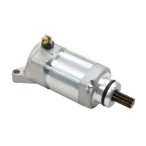BADIKA Motor-Anlasser Motorrad-Motorteile, die Startermotoren kompatibel mit WR450F 2007-2015 5TJ-81890-30-00 WR450-WR-450-F-450F starten von BADIKA