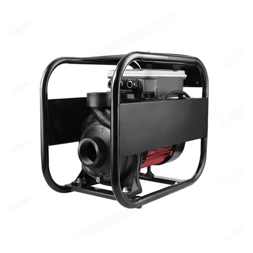 Tauchbrunnenpumpe Solarkreiselpumpe 48 V, 72 V, 96 V, 110 V, 150 V, 200 V, M+P+P+T, Hochhub- und Bewässerungspumpe mit großem Durchfluss(SGHF6-24-48-550) von BADIKA