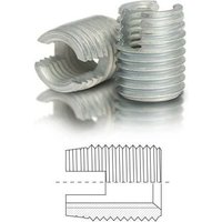 Fix mit Schneidschlitzen m 2 x 0,4 - 6 mm - 100 Stück'-'1-FE02 - Baer von BAER