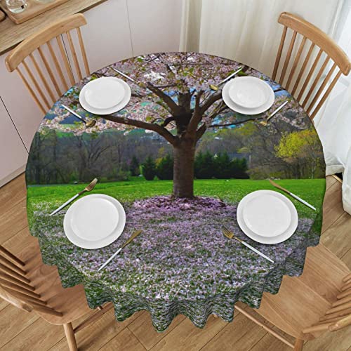 Runde Tischdecke, Frühling, Sommer, waschbar, für Esstisch, Buffet, Partys und Camping, 152 cm von BAFAFA