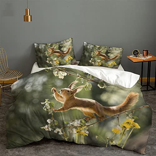 BAGA BettwäSche 135x200 Graugrünes Süßes Eichhörnchen 110gsm Mikrofaser Bettwäsche Set mit Reißverschluss und 2 Kissenbezügen 80x80 cm,Bettbezüge für Erwachsene und Kinder von BAGA