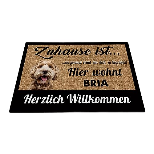 BAGEYOU Herzlich Willkommen Fußmatte Hübscher Labradoodle Individueller Hundename Zuhause Ist Wo Jemand Rennt Um Dich Zu Begrüßen Hier Wohnt Fußabtreter 60 x 40 cm von BAGEYOU