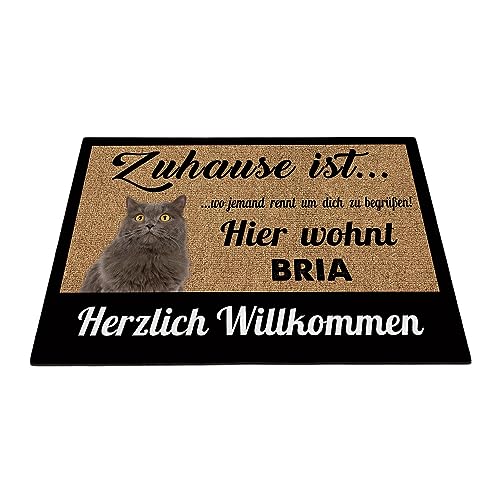 BAGEYOU Katze Fußmatte Britisch-Langhaar Individueller Katzenname Zuhause Ist Wo Jemand Rennt Um Dich Zu Begrüßen Hier Wohnt Herzlich Willkommen Fußabtreter 90 x 60 cm von BAGEYOU