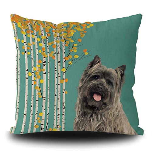 Lustiger Cairn Terrier Welpe mit weißem Birkenbaum, Kissenbezug für Sofa, Bett, Heimdekoration, 50,8 x 50,8 cm, doppelseitig von BAGEYOU