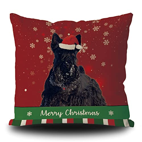 Schwarzer schottischer Terrier-Hund in Weihnachtsmannmütze, Weihnachtsdekoration, Kissenbezug, Winter, Schneeflocke, grün, rot, gestreift, für Couch, Sofa, Wohnzimmer, 50,8 x 50,8 cm, doppelseitig von BAGEYOU