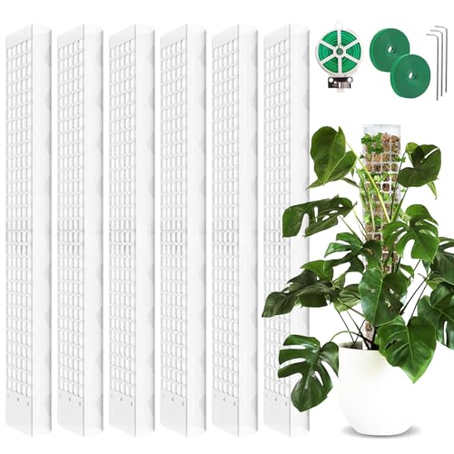 6 Satz Moosstab Rankhilfe:61cm Pflanzstab Plastik Mit 3 Erdspieße,2 Klettbändern,30m Garten Drehbinder,Rankhilfe Monstera,Moosstab für Monstera Rankhilfe,Pflanzstab Monstera für Garten Kletterpflanzen von BAIFULAI