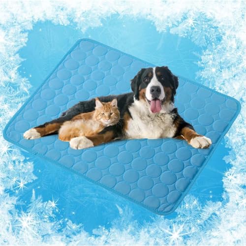 Kühlmatte Hunde – 62 * 50 cm Kühlmatte für Hund und Katze, Cooler Stoff Kühldecke Hund Selbstkühlend, Cool Eismatte für Haustiere, Selbstkühlende Matte für Haustiere, Hundehütten Betten - Navy blau Kühlmatte Hunde – 62 * 50 cm Kühlmatte für Hund und Katze, Cooler Stoff Kühldecke Hund Selbstkühlend, Cool Eismatte für Haustiere, Selbstkühlende Matte für Haustiere, Hundehütten Betten - Navy blau von BAIFULAI