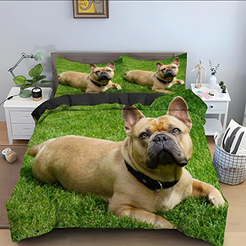 Winter Bettwäsche 135x200 grüne Bulldogge Bettwäsche-Sets 3D Drucken Luftdurchlässiger Bettbezug + 2 Kissenbezug 80x80 cm mit Reißverschluss Geeignet für Kinder, Baby von BAIL