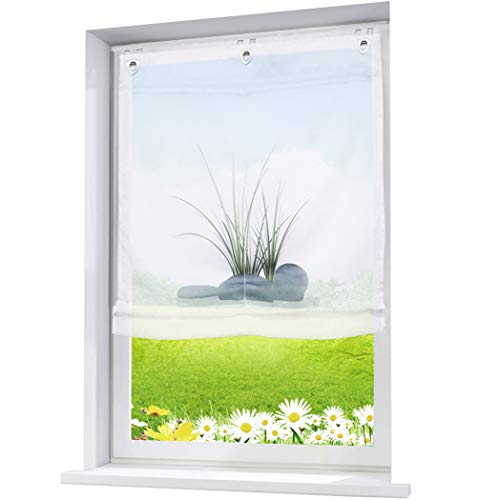 1er-Pack Ösenrollo mit U-Haken Floral Raffrollo Transparent Voile Vorhang (BxH 100x140cm, Gras) von BAILEY JO