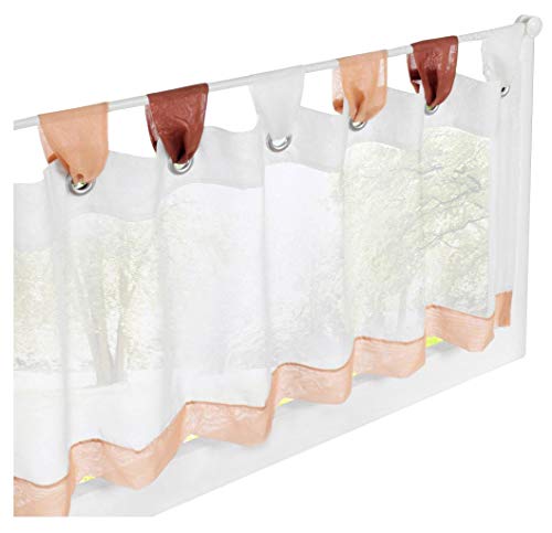BAILEY JO 1er-Pack Scheibengardine Voile Transparent Raffrollo Bunt Kleine Kaffee Vorhang (HxB 60x180cm, Kaffee) von BAILEY JO