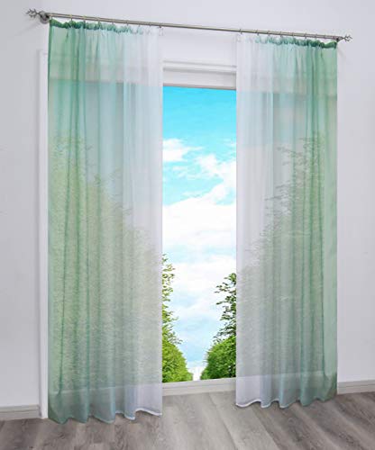 BAILEY JO 2er-Pack Gardinen mit Verlauf-Farben Muster Vorhang Transparent Voile Vorhänge mit Kräuselband (BxH 140x175cm, Grün) von BAILEY JO