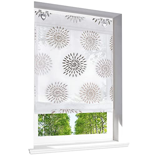 Raffrollo mit Kreis-Motiven Druck Design Rollos Voile Transparent Vorhang (BxH 100x140cm, Braun mit U-Haken) von BAILEY JO