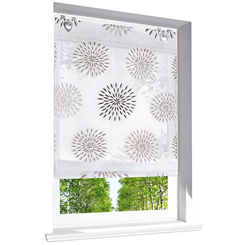 Raffrollo mit Kreis-Motiven Druck Design Rollos Voile Transparent Vorhang (BxH 120x140cm, Braun mit U-Haken) von BAILEY JO