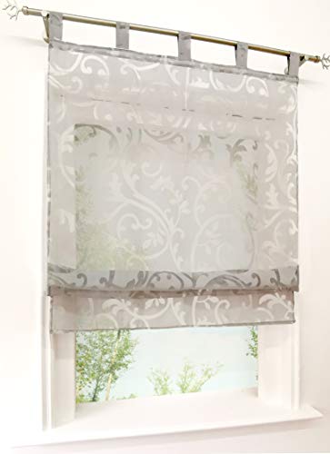 BAILEY JO Voile Raffrollo mit Schlaufen Rollos Ausbrenner Pteris Gardinen Transparent Vorhang (BxH 120x140cm, grau) von BAILEY JO