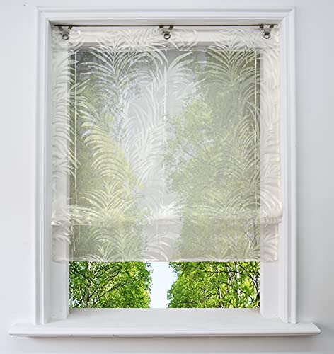 Ösenrollo Voile Transparenter Raffrollo ohne Bohren mit Ausbrennerqualität Fenster Gardine mit Hakenaufhängung Schals (Feder, BxH 100x130cm) von BAILEY JO
