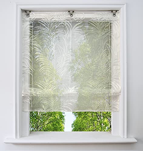 Ösenrollo Voile Transparenter Raffrollo ohne Bohren mit Ausbrennerqualität Fenster Gardine mit Hakenaufhängung Schals (Feder, BxH 60x130cm) von BAILEY JO