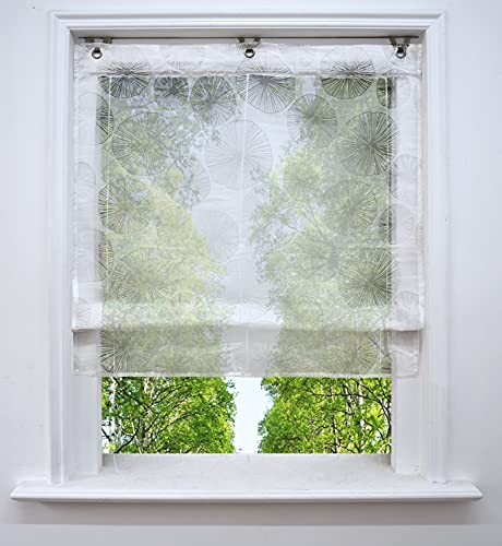 Ösenrollo Voile Transparenter Raffrollo ohne Bohren mit Ausbrennerqualität Fenster Gardine mit Hakenaufhängung Schals (Kreis, BxH 80x130cm) von BAILEY JO