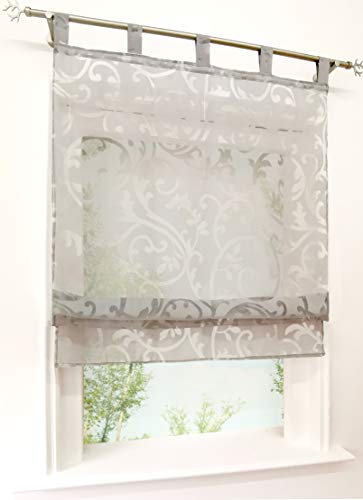 Voile Raffrollo mit Schlaufen Rollos Ausbrenner Pteris Gardinen Transparent Vorhang (BxH 120x140cm, grau) von BAILEY JO