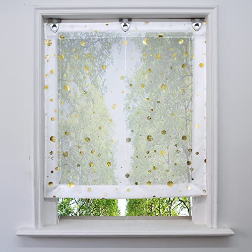 Voile Raffrollo mit Silber Heißprägen Design Raffgardine Transparent Ösenrollo Fenster Vorhang (BxH 120x130cm, Gold Kreis1) von BAILEY JO