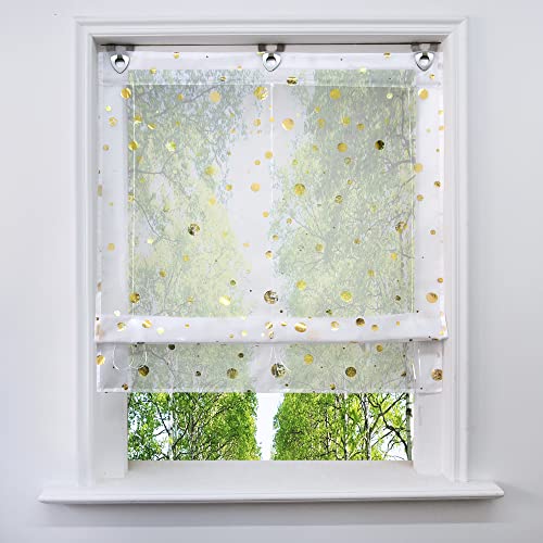 Voile Raffrollo mit Silber Heißprägen Design Raffgardine Transparent Ösenrollo Fenster Vorhang (BxH 45x130cm, Gold Kreis) von BAILEY JO