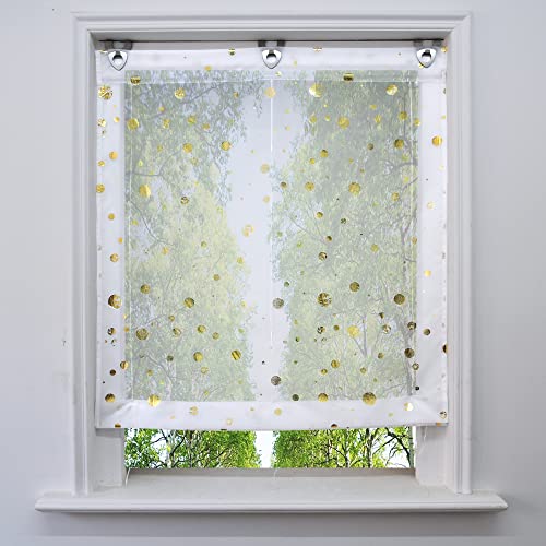 Voile Raffrollo mit Silber Heißprägen Design Raffgardine Transparent Ösenrollo Fenster Vorhang (BxH 45x130cm, Gold Circle) von BAILEY JO