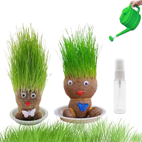 Graskopf Puppenpflanze, 2PCS Wachsende Graskopf Puppenpflanze, Graskopf Wachsende, Graskopf puppe Mit Tablett, Mini Bonsai Gras Kopf Figure Puppen, Kinder Handwerk DIY Lustiges Geschenke (M2) von BAISHUWU