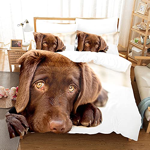 BAIXUEGONGZHU bettwäsche 135x200 cm Brauner Labrador Hund Bettbezug 2 und kissenbezüge 80x80 cm mit Reißverschluss Leichte Mikrofaser Heimtextilien von BAIXUEGONGZHU