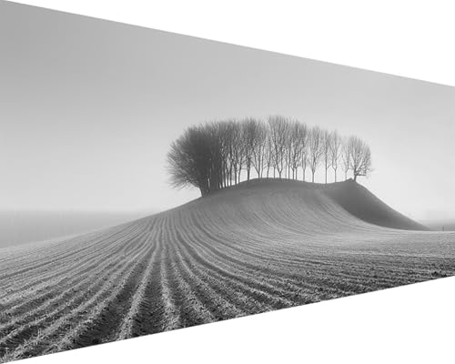 Malen Nach Zahlen Erwachsene Baum Malen Nach Zahlen Landschaft Paint by Numbers Farbige Leinwand mit Pinselset Acrylfarben Kreativ Set für Kinder, Home Wand Deko Wohnzimmer Geschenke 80x160cm y4-7F von BAIYAACO