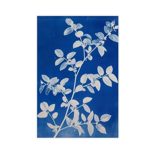BAJHTGHG Cyanotype Botanisches Poster, Leinwandposter, Wandkunstdruck, Bild, Gemälde, 40 x 60 cm BAJHTGHG Cyanotype Botanisches Poster, Leinwandposter, Wandkunstdruck, Bild, Gemälde, 40 x 60 cm von BAJHTGHG